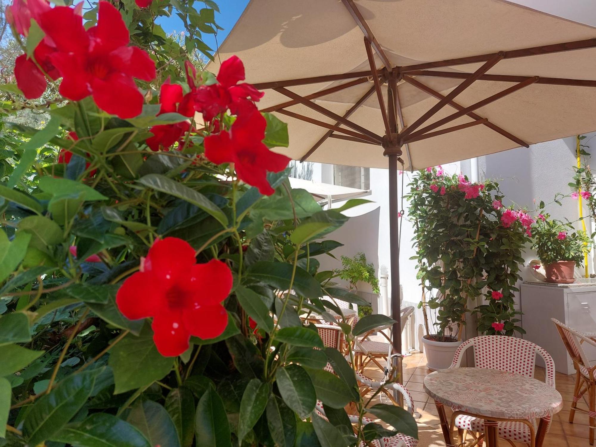 Hotel Driade Sul Mare Rimini Luaran gambar